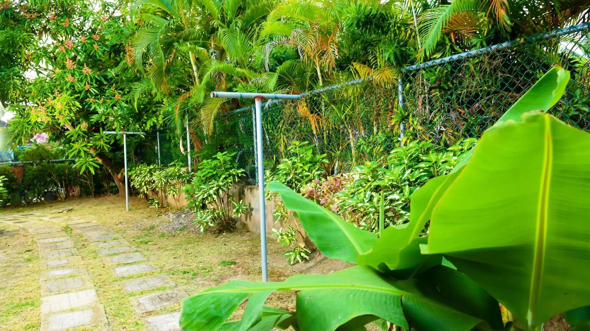 Apartman Palms Richmond Villa Jamaica