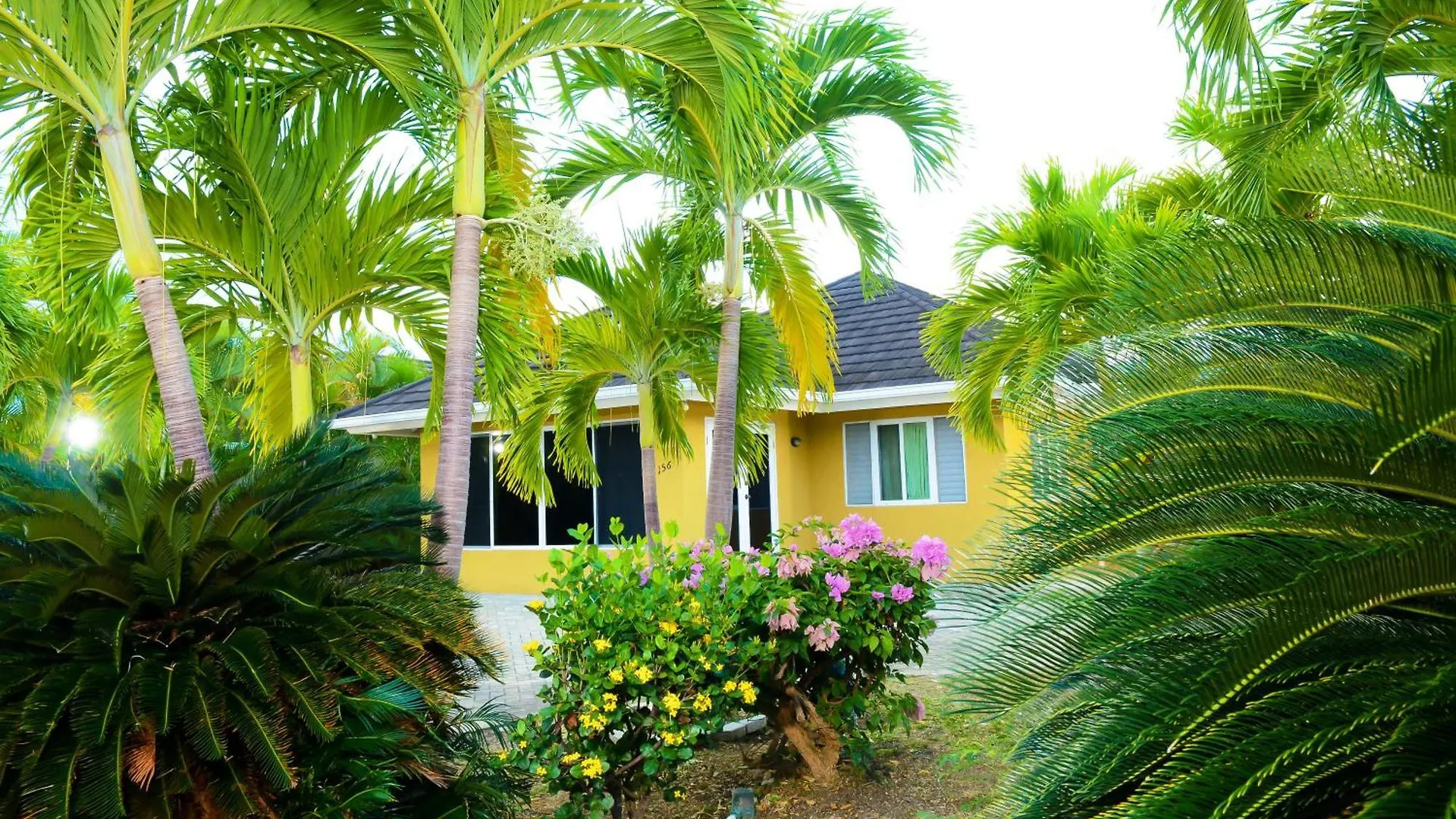 Palms Richmond Villa 0*,